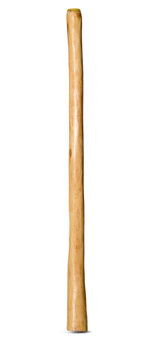 Medium Size Natural Finish Didgeridoo (TW665)